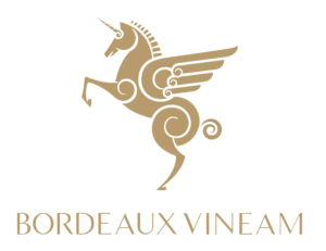 Logo Bordeaux Vineam