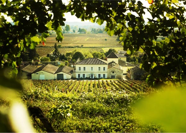 Chateaux Bordeaux Vineam