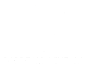 Logo Bordeaux Vineam blanc